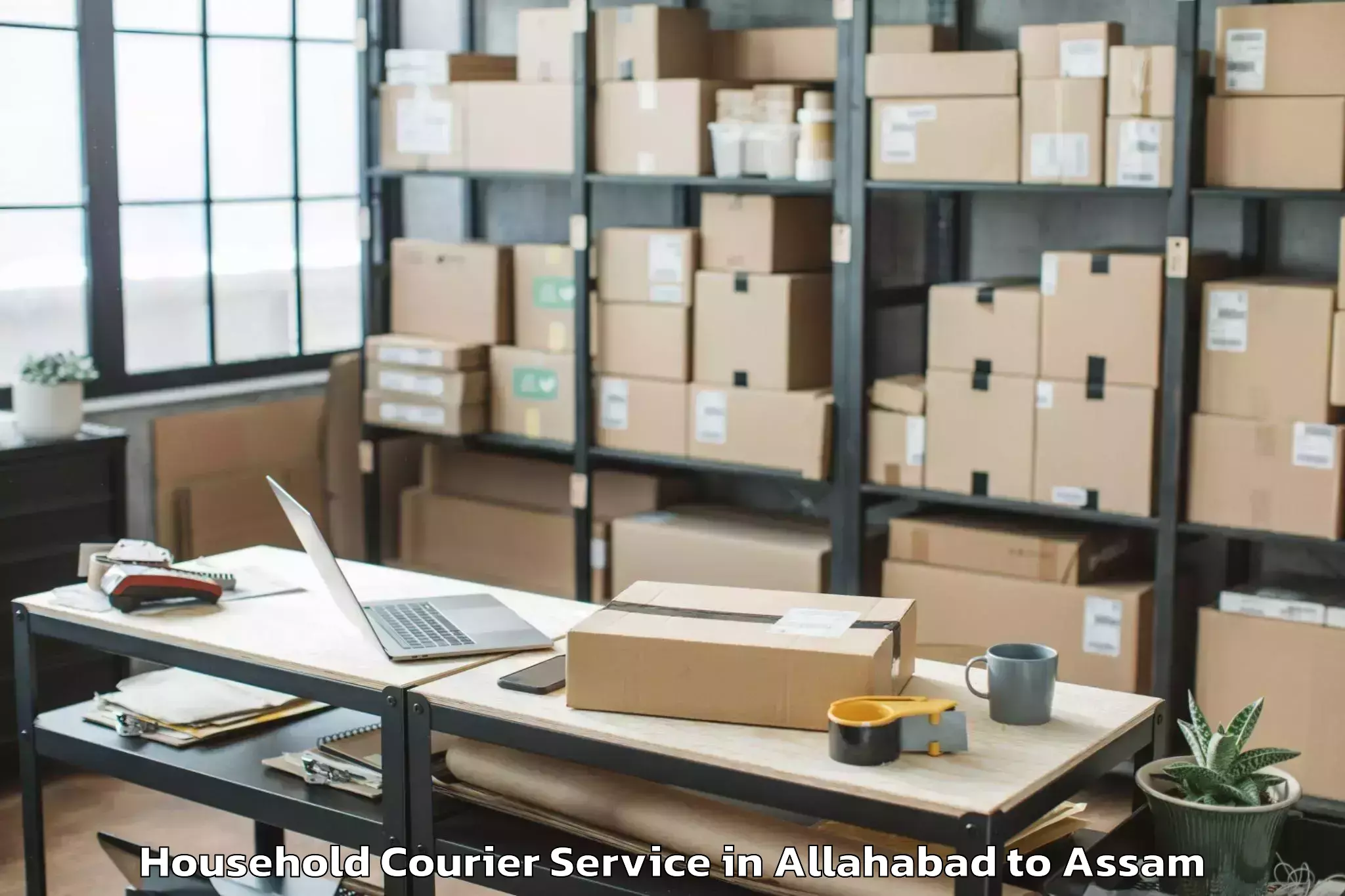 Book Allahabad to Badarpur Karimganj Household Courier